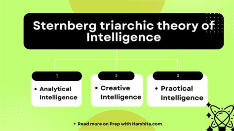 智力三元論口訣|智力三元論（Triarchic Theory of Intelligence）